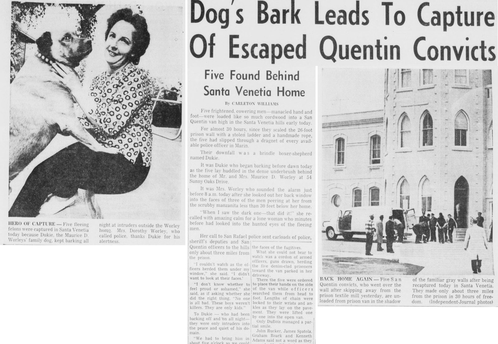 April 1962: Dukie the dog finds five escaped convicts hiding above Sunny Oaks Drive